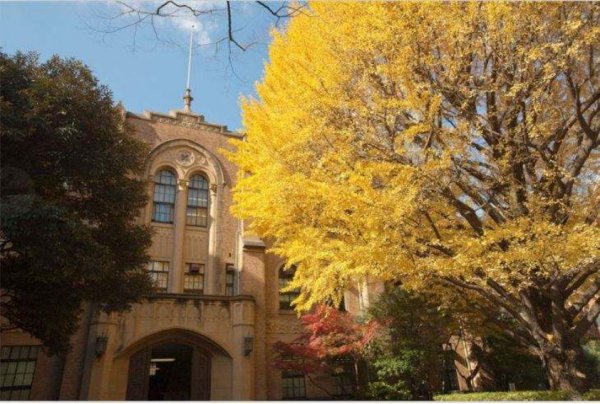 庆大是哪个大学的简称