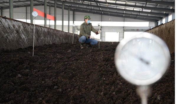 牛粪怎么发酵成有机肥配方