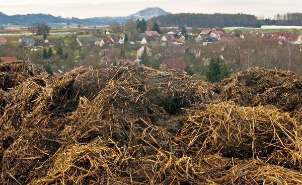 牛粪怎么发酵成有机肥配方