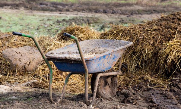 牛粪怎么发酵成有机肥配方