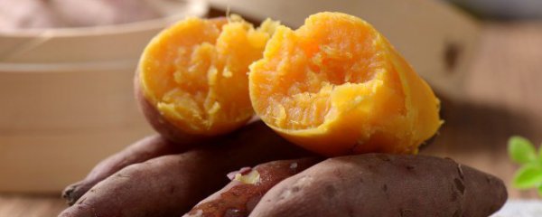 晚上吃地瓜会胖吗