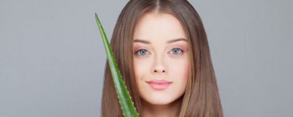 新鲜芦荟作用及食用方法