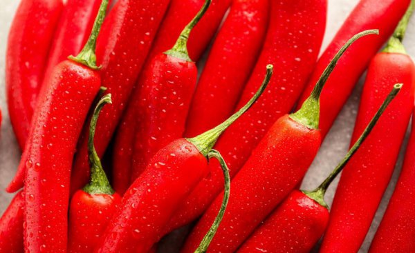 家里灭苍蝇的最好方法