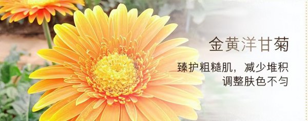 三十岁用什么护肤品比较好