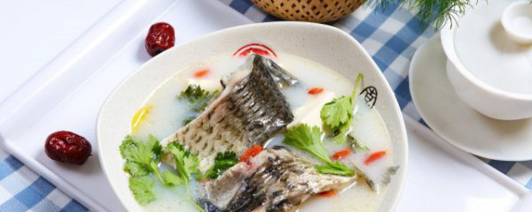 鲫鱼要怎么炖有营养