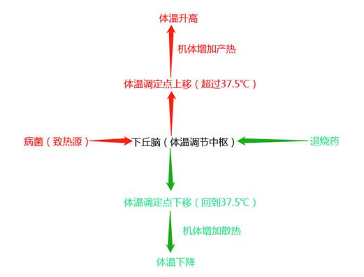 全球气候变暖的影响