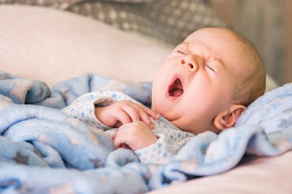 全球气候变暖的影响