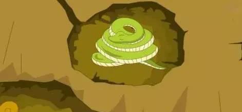 老死的蛇都去了哪里