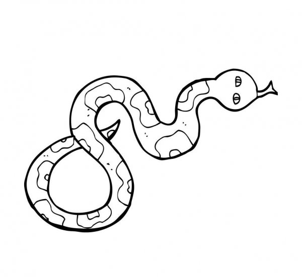 老死的蛇都去了哪里