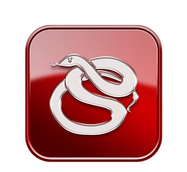 老死的蛇都去了哪里