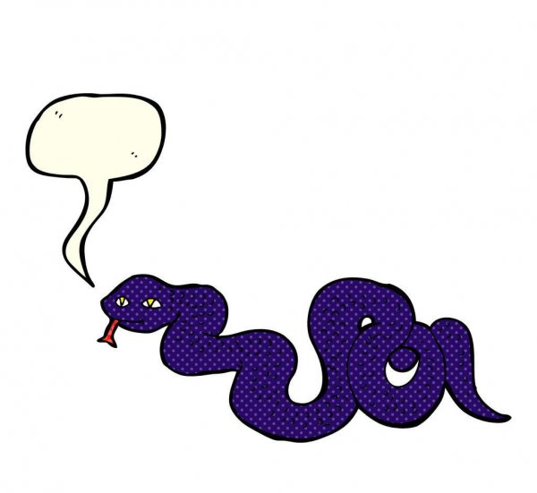 老死的蛇都去了哪里