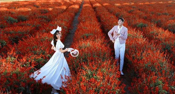 能闻到异性身上的体香说明什么