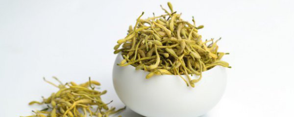 金银花可以直接泡水喝吗