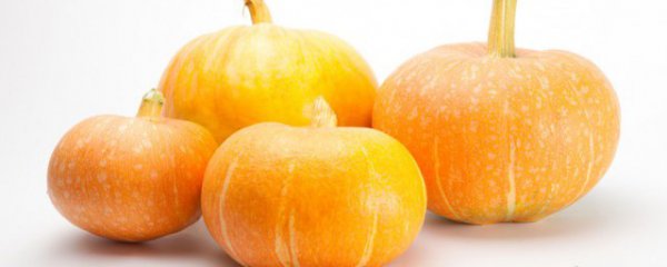 什么南瓜清蒸好吃又营养