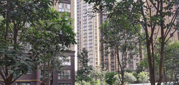 电梯房为什么不买七楼