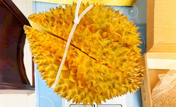 榴莲怎么选择果肉饱满的