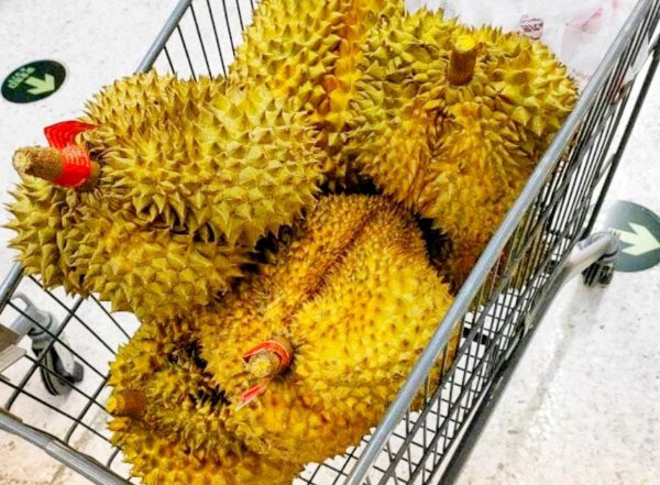 榴莲怎么选择果肉饱满的