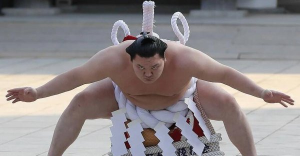 日本相扑级别划分