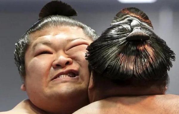 日本相扑级别划分