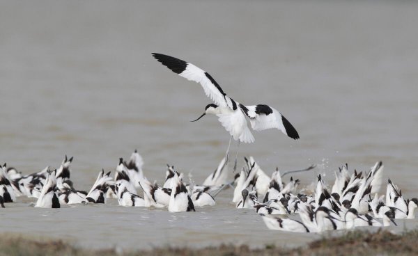 淡水湖排名中国