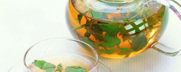 霍香泡水功效和作用