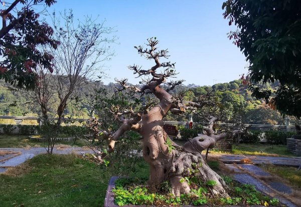 云浮旅游景点大全介绍