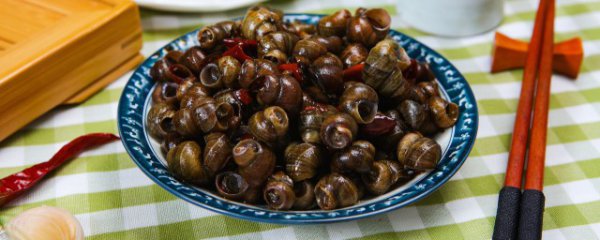 长期吃钉螺的好处和坏处