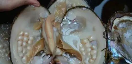 真假珍珠的10种鉴别方法图解