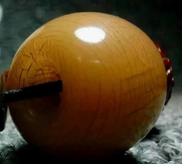 白玉菩提根盘多久变红