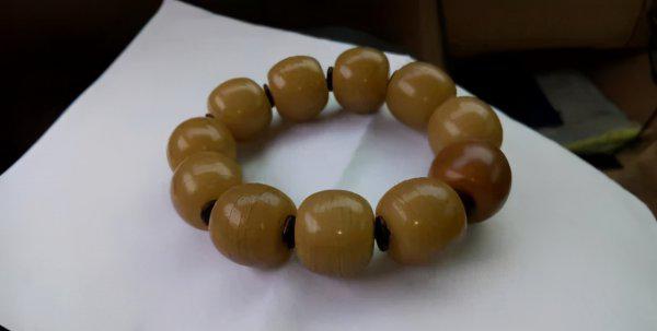 白玉菩提根盘多久变红