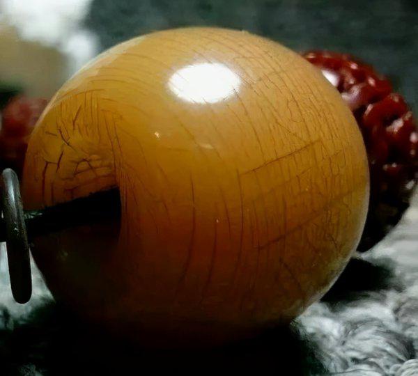 白玉菩提根盘多久变红