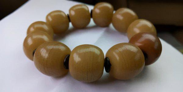 白玉菩提根盘多久变红