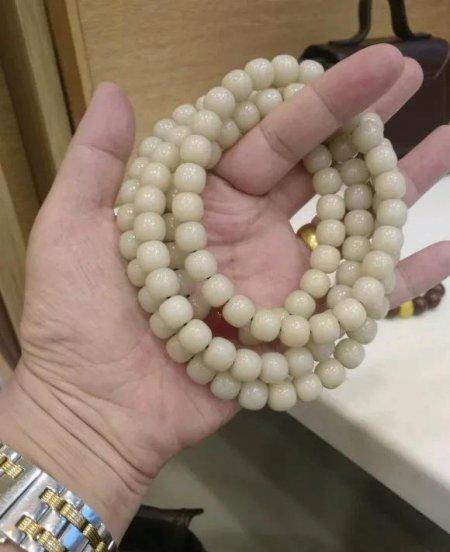 白玉菩提根盘多久变红