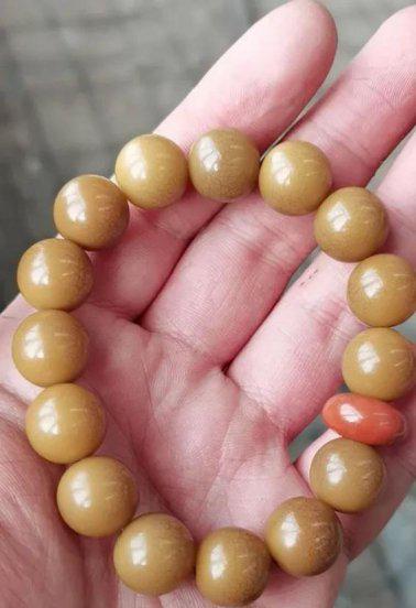 白玉菩提根盘多久变红