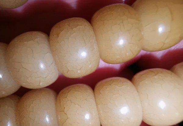 白玉菩提根盘多久变红