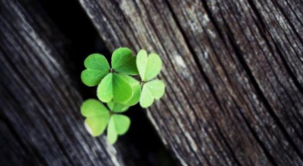 面子是自己挣的不是别人给的是什么意思