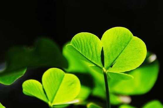 面子是自己挣的不是别人给的是什么意思