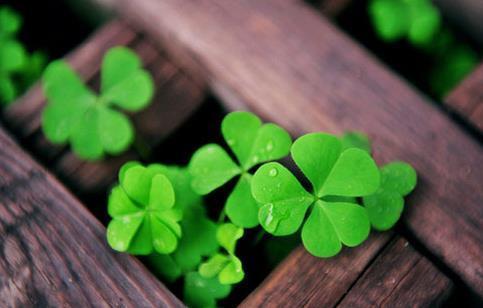 面子是自己挣的不是别人给的是什么意思