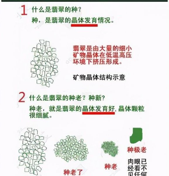 种水翡翠是什么意思