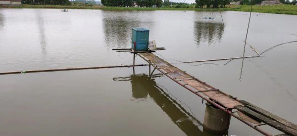 鱼塘断断续续有死鱼用什么药