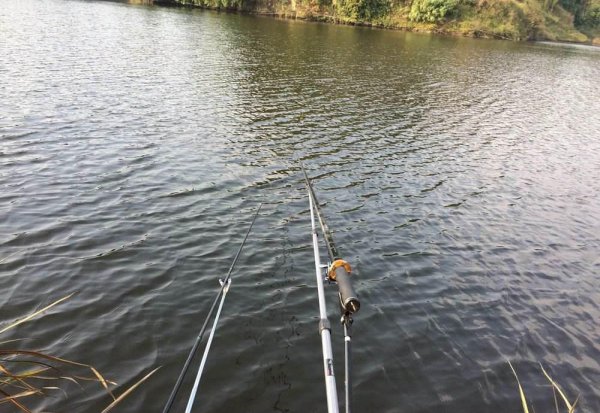 水库钓鱼选位置的诀窍和方法