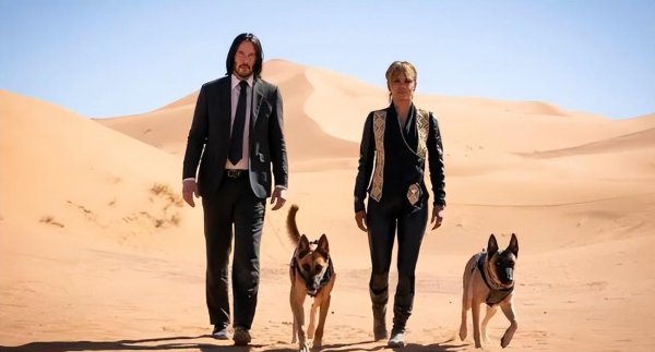 动作片大片评分最高的十部电影