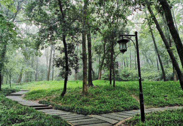 中国避暑城市排行榜