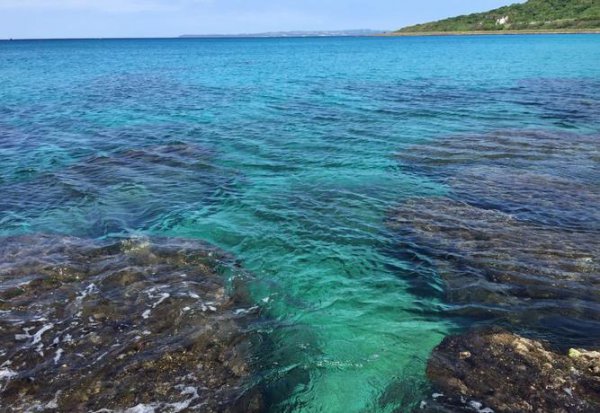 台湾的著名八大景点介绍