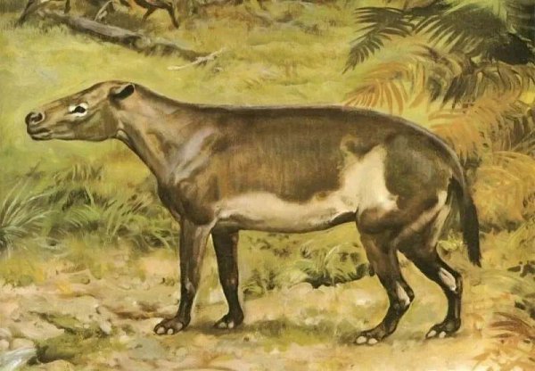 神农架属于哪个市代管