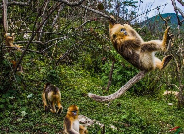 神农架属于哪个市代管