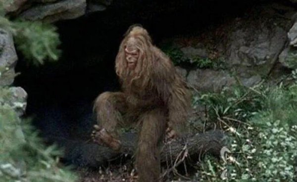 神农架属于哪个市代管