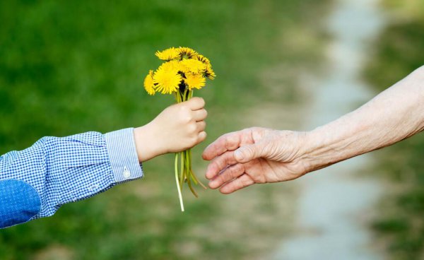 亲情爱情友情哪个最重要怎么回答