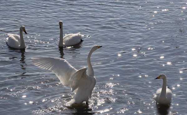 亲情爱情友情哪个最重要怎么回答