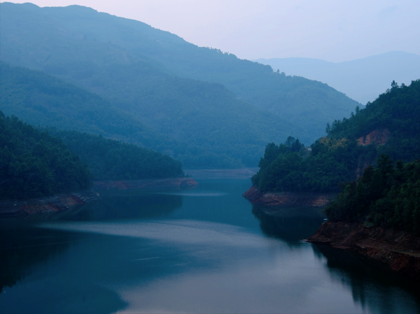 磨烈古树茶口感有什么特点